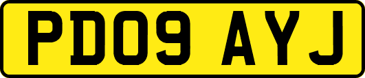 PD09AYJ