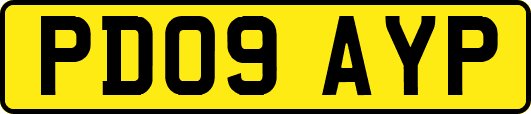 PD09AYP