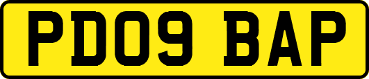 PD09BAP