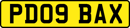 PD09BAX