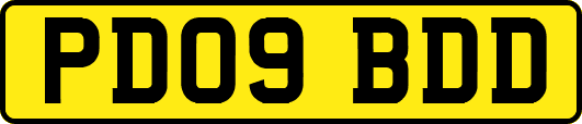 PD09BDD