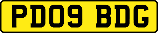 PD09BDG