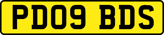 PD09BDS