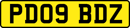PD09BDZ
