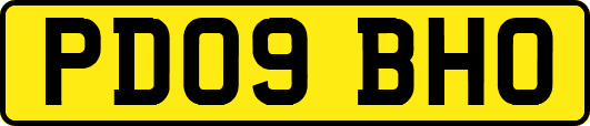 PD09BHO