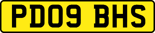 PD09BHS