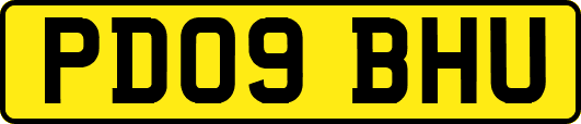 PD09BHU
