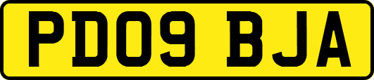 PD09BJA