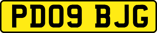 PD09BJG