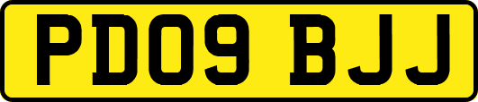 PD09BJJ