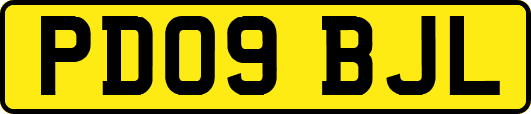 PD09BJL