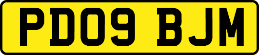 PD09BJM