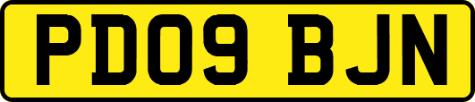 PD09BJN