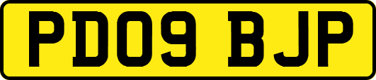PD09BJP