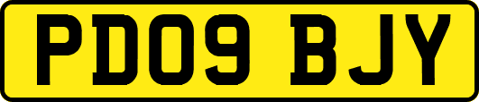 PD09BJY