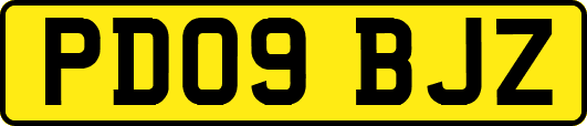 PD09BJZ
