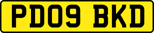 PD09BKD