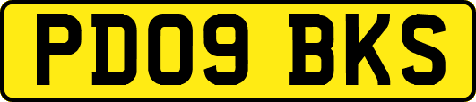 PD09BKS