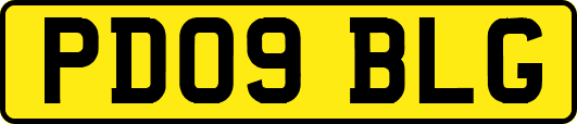 PD09BLG