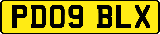 PD09BLX