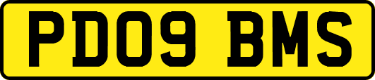 PD09BMS