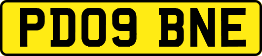 PD09BNE