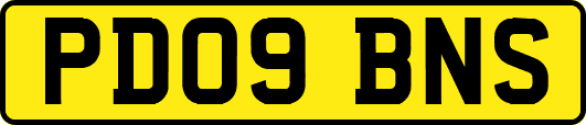 PD09BNS