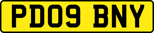 PD09BNY