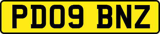 PD09BNZ