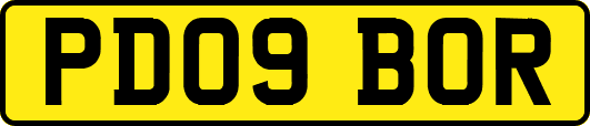 PD09BOR