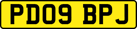 PD09BPJ