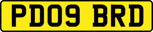 PD09BRD