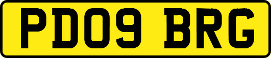 PD09BRG