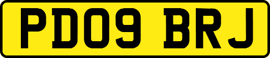PD09BRJ