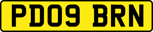PD09BRN