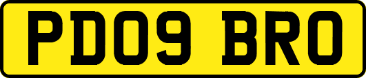 PD09BRO