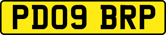 PD09BRP