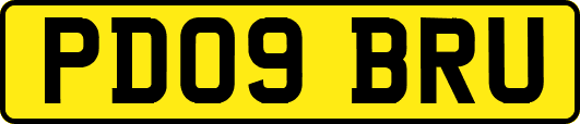 PD09BRU