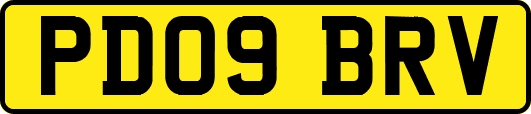 PD09BRV