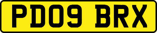 PD09BRX