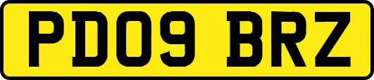 PD09BRZ
