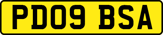 PD09BSA