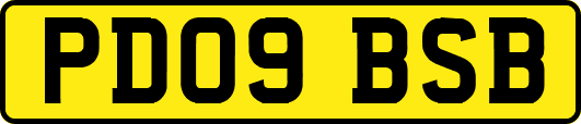 PD09BSB