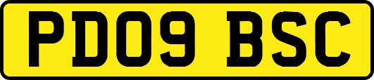 PD09BSC