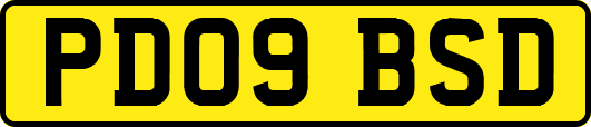 PD09BSD
