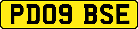 PD09BSE