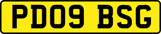 PD09BSG