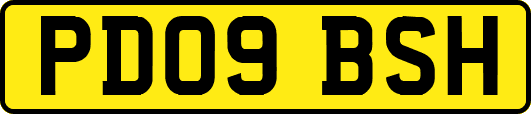 PD09BSH