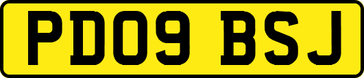 PD09BSJ