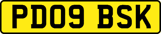 PD09BSK